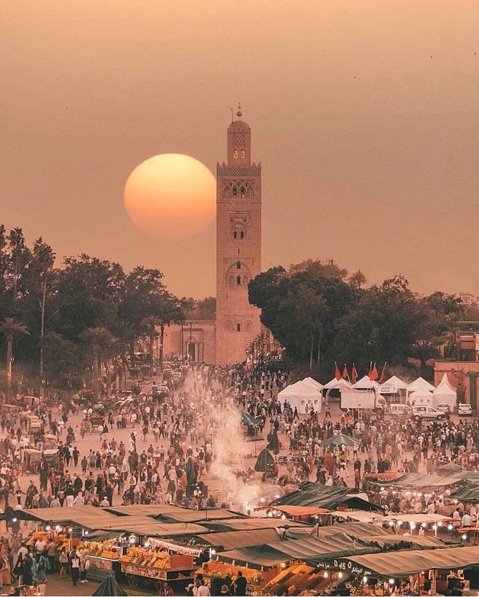 Elegant palm-lined streets and luxury hotel entrance in the Hivernage district of Marrakech